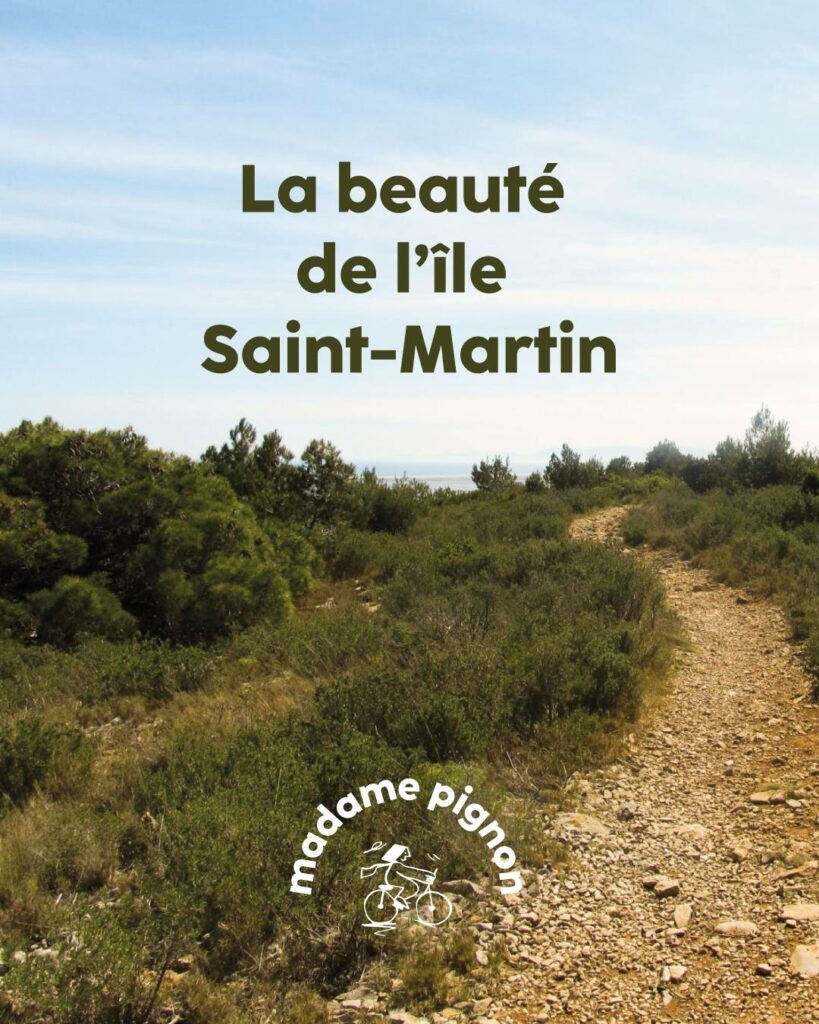 Madame Pignon - Location de vélo électrique Gruissan - Ile Saint Martin