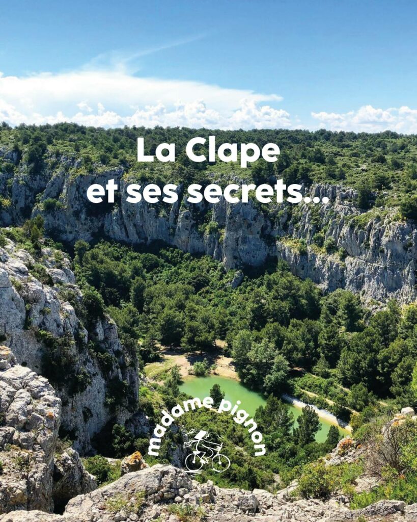 Madame Pignon - Location de vélo électrique Gruissan - La clape