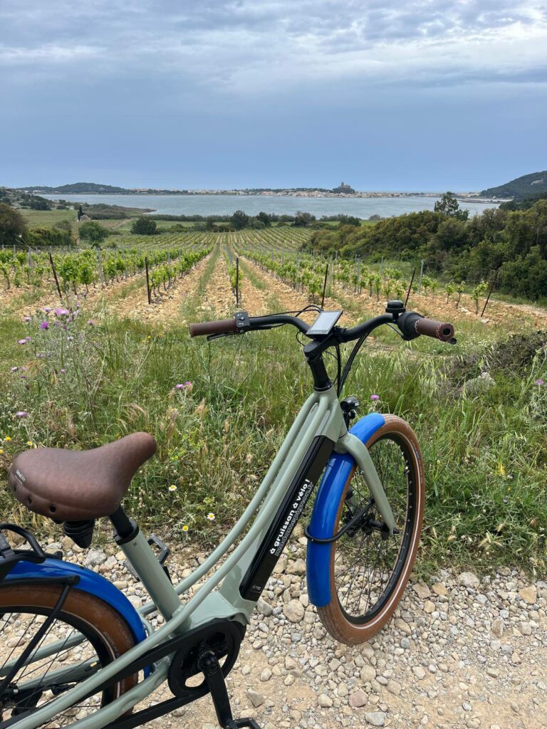 Madame Pignon - Location de vélo électrique Gruissan
